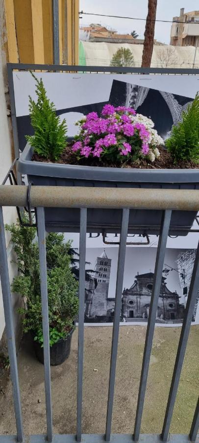 Bitervo Bed & Breakfast Viterbo Dış mekan fotoğraf